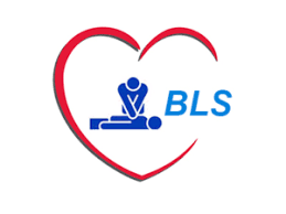Basic Life Support (BLS) - 4 hrs